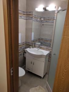 La salle de bains est pourvue d'un lavabo et de toilettes. dans l'établissement Bendida Apartments, à Velingrad