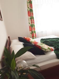 łóżko z poduszkami i roślina obok okna w obiekcie Dom Pod Lasem 44 w mieście Klecza Górna
