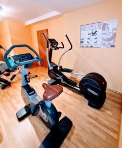 Fitness centrum a/nebo fitness zařízení v ubytování Hotel Restaurant Felix