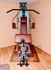 Fitness centrum a/nebo fitness zařízení v ubytování Hotel Restaurant Felix