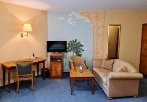 TV a/nebo společenská místnost v ubytování Hotel Restaurant Felix