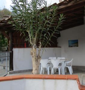 Giardino degli aranci - Resort في بارونيسي: جلسة نخلة بجانب طاولة وكراسي
