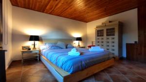 a bedroom with a bed with blue sheets and a wooden ceiling at Can Castell de Rocabruna in Camprodon