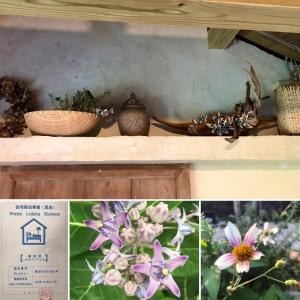 a collage of photos with flowers on a shelf at Travelers House おーさんてぃん青空舎 in Taketomi