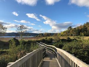 Gallery image of The Wee Ludging Cottage in Dunoon