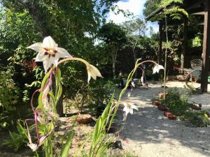 a garden with a white flower and some plants at Travelers House おーさんてぃん青空舎 in Taketomi
