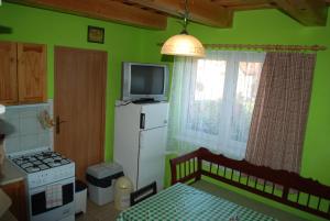 a small green kitchen with a small tv on top of a refrigerator at Aniel Privat in Bobrovec