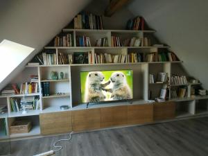 Knihovna v bed and breakfast