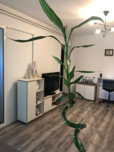 ein Wohnzimmer mit einer Pflanze in der Mitte in der Unterkunft Cozy Place 5a-Self Check in & out-HBO MAX in Piteşti