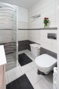 a bathroom with a toilet and a shower at Apartament na Klifowej in Mechelinki