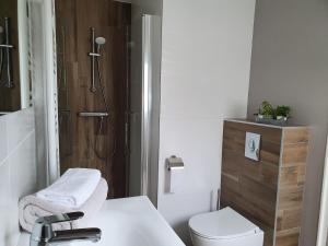 a bathroom with a sink and a toilet and a shower at Graine de Reves in Saint-Sauveur-la-Pommeraye