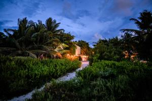 un sentiero attraverso un campo di palme di notte di Casa Mate BeachFront Cabañas El Cuyo a El Cuyo