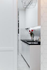 Kuchyňa alebo kuchynka v ubytovaní Crystal Apartment Katowice IV + 3 fotografie