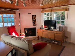 維戈的住宿－Casa La Finca，带沙发、电视和壁炉的客厅