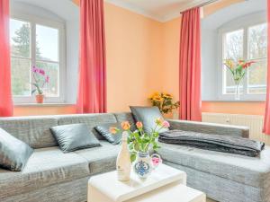 sala de estar con sofá gris y cortinas rojas en Apartment in Rauschenbach Saxony near Forest, en Neuhausen