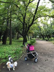 Jardín al aire libre en 沼津ライダーハウスしんちゃん