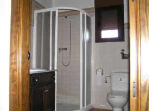 a bathroom with a shower and a toilet at Casa Rural Tia Tomasa in Malpartida de Plasencia