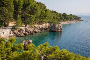 Φωτογραφία από το άλμπουμ του Punta Rata room σε Brela