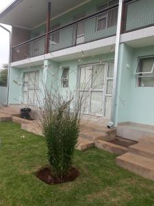 a plant in a yard in front of a building at Masane Lodge in Rustenburg