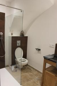 een badkamer met een toilet en een glazen wand bij Les secrets de l'isle in LʼIsle-sur-la-Sorgue
