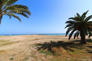 two palm trees on a sandy beach with the ocean at Global Properties, Estudio para parejas en la playa del Puerto de Sagunto in Puerto de Sagunto