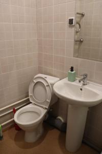 a bathroom with a toilet and a sink at Русь Отель in Kolpino