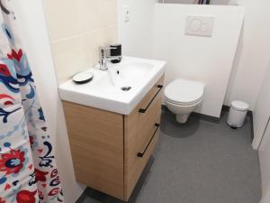 un baño con lavabo e inodoro en Studios les 3 Eclats, en Saint-Laurent-sur-Sèvre 14 fotos más