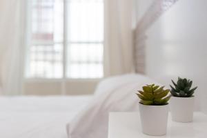 Letto o letti in una camera di BOHEMIA SANLUCAR