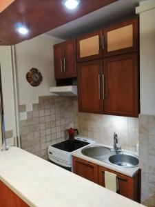 a kitchen with a sink and a stove and cabinets at Przytulne i atrakcyjne mieszkanie z pełnym wyposażeniem, dwa pokoje in Skarżysko-Kamienna