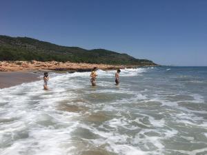 Príroda v okolí apartmánu