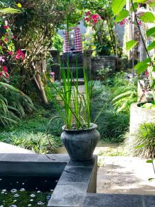 Jardín al aire libre en The Hidden Bali Inn