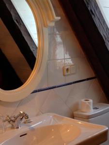 阿蒂斯的住宿－Besiberri，一间带水槽、镜子和卫生间的浴室
