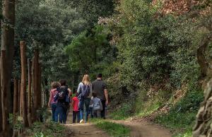 Hosté ubytování Fattoria di Maiano