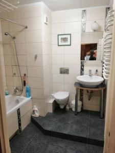 a bathroom with a sink and a toilet at Przytulne i atrakcyjne mieszkanie z pełnym wyposażeniem, dwa pokoje in Skarżysko-Kamienna