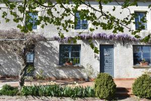 a white house with purple wisteria on the facade at Le Tilleul de Ray in Ray-sur-Saône