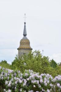 Gallery image of Le Tilleul de Ray in Ray-sur-Saône