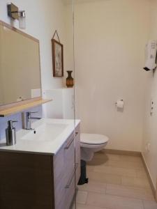uma casa de banho com um lavatório branco e um WC. em 33 Ter Bon pied à terre em La Rochelle