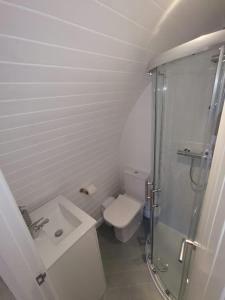 Phòng tắm tại Loch Ness Pods