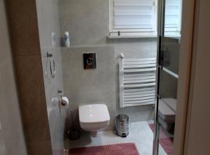 Kúpeľňa v ubytovaní Apartament Perełka Przy Krupówkach