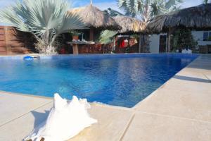 een zwembad met een zeester op de grond bij My Own Paradise Resort Bonaire in Kralendijk