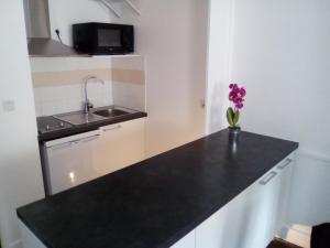 a kitchen with a sink and a black counter top at STUDIO cosy dans le centre de LIMOGES in Limoges