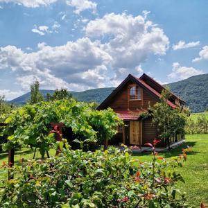 Kokin Brod的住宿－BRVNARE STOJIĆ，一座带一束葡萄的小木房子