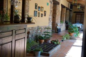 a patio with potted plants in a building at Hotel Rural Cerro Principe in La Garrovilla