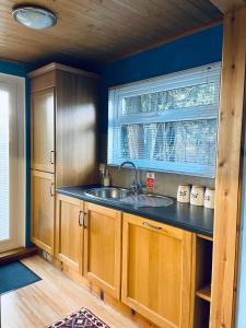 uma cozinha com um lavatório e uma janela em Foxs Lair Aberdovey em Aberdyfi