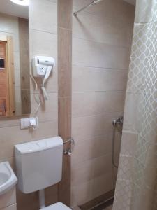 a bathroom with a toilet and a shower at BRVNARE STOJIĆ in Kokin Brod +51 photos
