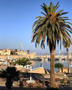 een palmboom naast een jachthaven met tafels en stoelen bij Dolce Vita Suite Alghero in Alghero