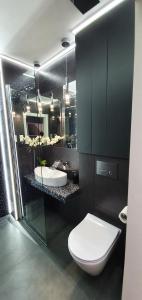 La salle de bains est pourvue de 2 lavabos, de toilettes et d'un miroir. dans l'établissement Apartament Vilda, à Poznań