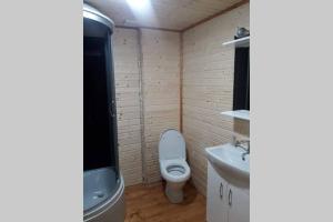 ein Badezimmer mit einer weißen Toilette und einem Waschbecken in der Unterkunft Номер 6 Садиба У Ані in Synewyrska Poljana + 10 Fotos