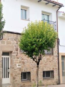 PiornalにあるAcogedor apartamento en EL VALLE DEL JERTE 1の石造りの建物の前の木