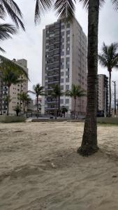 un palmier sur une plage de sable avec un bâtiment dans l'établissement Recanto Bessa Praia Grande aceito cartão, à Praia Grande
